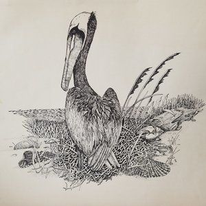 Mario Hernandez Print - Bird